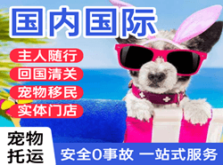 杭州萧山航空运输国际宠物托运 【国